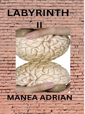 cover image of Labyrinth II